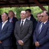 Vulin na obeležavanju stradanja Srba u Podrinju: Srpske žrtve zanimaju samo Srbe 6