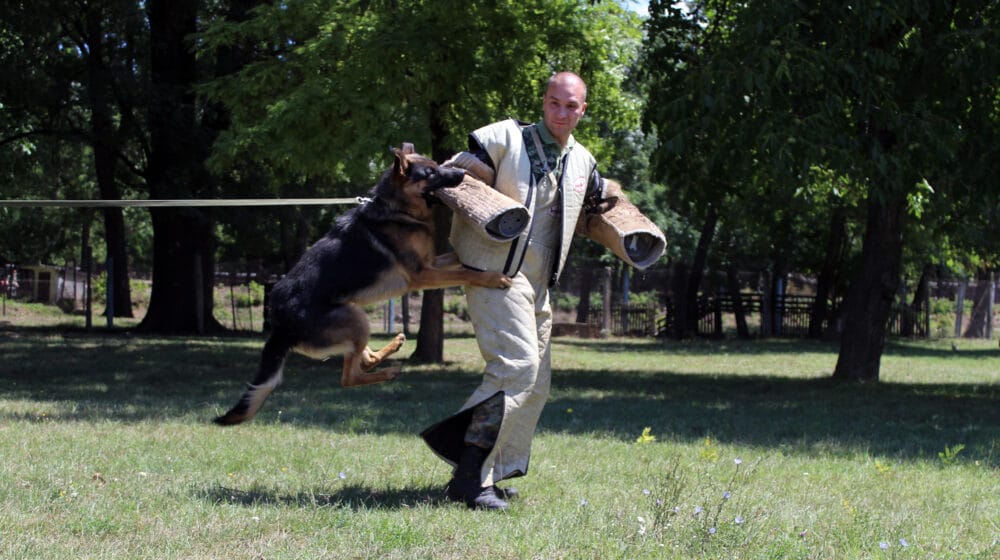 Obuka vodiča i dresura pasa za specijalna dejstva u Nišu 1