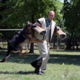 Obuka vodiča i dresura pasa za specijalna dejstva u Nišu 5