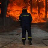 Grčka se bori sa nekoliko velikih požara 5