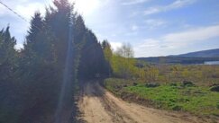 "Vlasinu biraju oni koji beže od temperaturnog šoka": Kako je letovati na jezeru koje se nalazi na najvišoj nadmorskoj visini na Balkanu 4