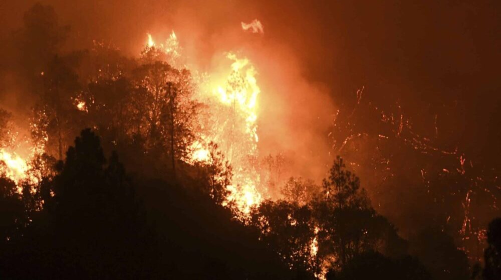 U Francuskoj posle 11 dana lokalizovan veliki šumski požar 1