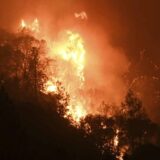 U Francuskoj posle 11 dana lokalizovan veliki šumski požar 3