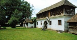 Zbog čega kineski turisti letuju u Mačvi i zašto su im baš tu važna kokošija jaja 4