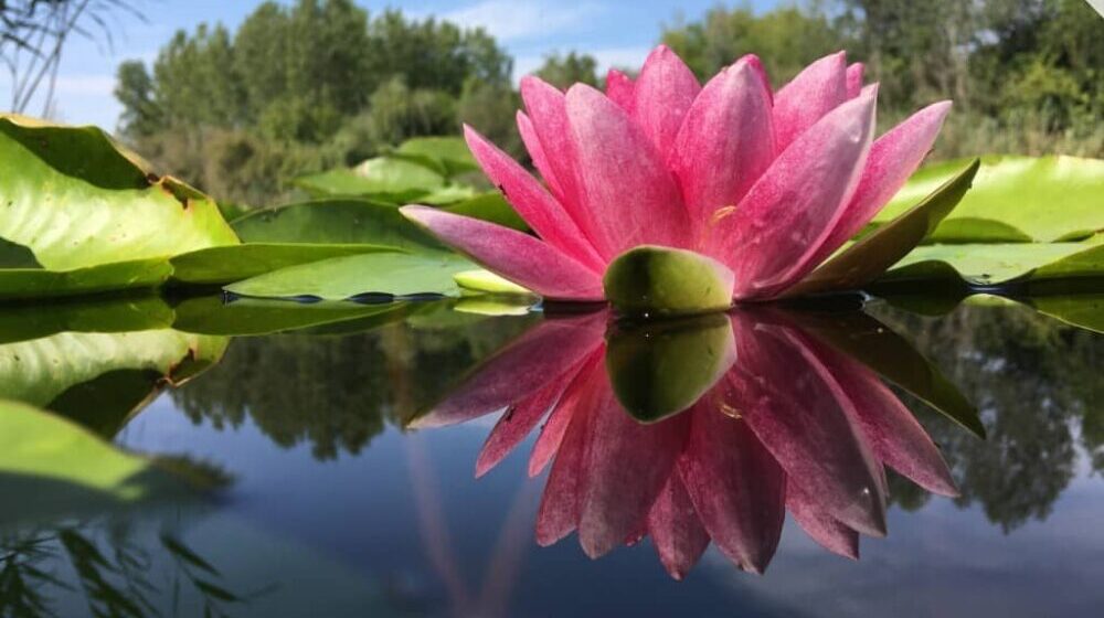 Zabranjeno kupanje u jezeru Korlatoš: U vodi pronađeni mikroorganizmi 1