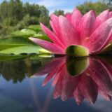 Zabranjeno kupanje u jezeru Korlatoš: U vodi pronađeni mikroorganizmi 1