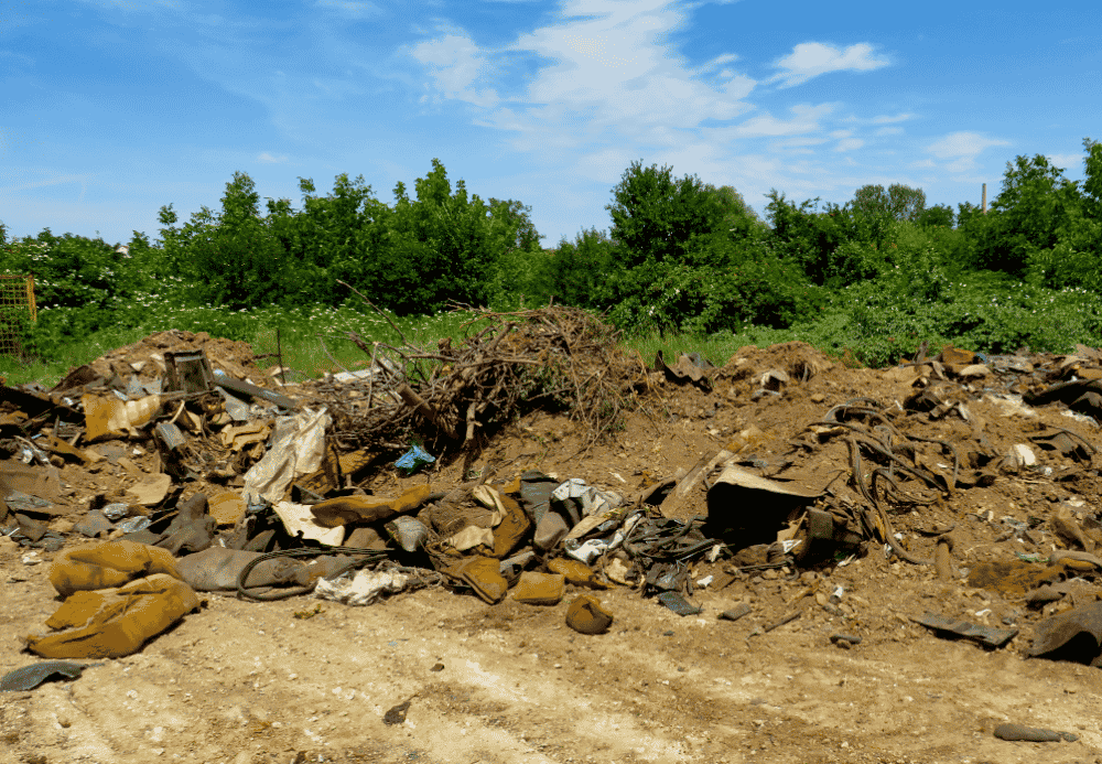 Realizovan projekat Zajedničkim snagama protiv divljih deponija u Kragujevcu 2