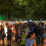 Tradicija i ukusi iz svih delova Srbije na 16. „Etno festivalu“ u Kladovu 8