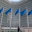 EU uvela sankcije ruskoj grupi Vagner zbog kršenja ljudskih prava u Africi 12