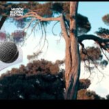 U Novom Pazaru počinje festival "Stari grad" 3