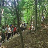 SBB fondacija ponovo za NURDOR: Nastavljaju se letnje ekološke radionice za decu u celoj Srbiji 3