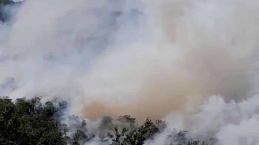 Širi se požau kod Herceg Novog 1