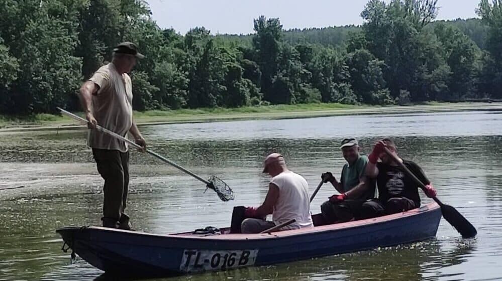 Presuda za bivšeg radnika Rezervati prirode u Zrenjaninu zato što je dao brodski motor ribaru 1