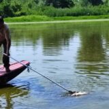 Pomor ribe na Tisi: Dok građani tvrde da su u pitanju tone, nadležni licitiraju 140 kilograma tolstolobika i štuke 6