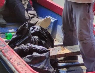 IMG-ecb384ea6d6cfe7b5de40ff27d093635-V Pomor ribe na Tisi: Dok građani tvrde da su u pitanju tone, nadležni licitiraju 140 kilograma tolstolobika i štuke 2