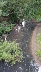 "Nema ribe, uginula je": Zagađen deo reke Kačer, inspekcija ne rešava problem (VIDEO) 3