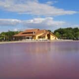 Lekovita i slana voda ružičaste boje umesto plavog mora: Pačir banja kao srpska atrakcija (FOTO) 1