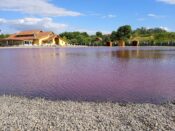 Lekovita i slana voda ružičaste boje umesto plavog mora: Pačir banja kao srpska atrakcija (FOTO) 15