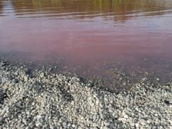 Lekovita i slana voda ružičaste boje umesto plavog mora: Pačir banja kao srpska atrakcija (FOTO) 12