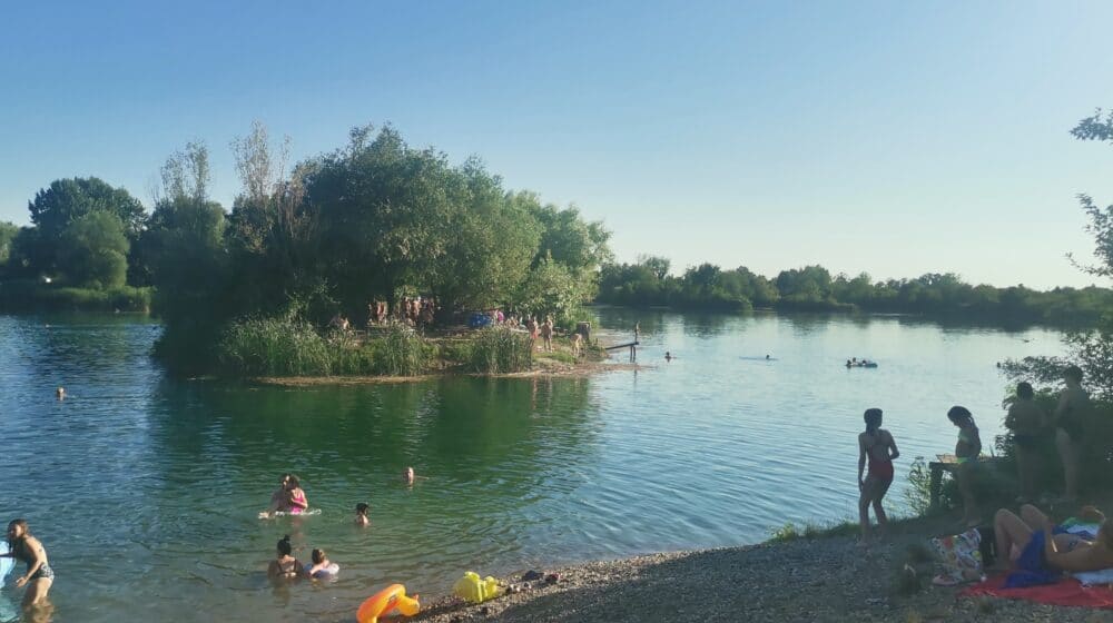 Tajnu gde su srpske meduze sa kojima se deca igraju znaju Šapčani 1