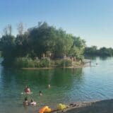 Tajnu gde su srpske meduze sa kojima se deca igraju znaju Šapčani 2