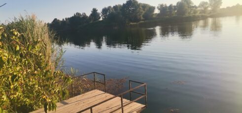 IMG_20220720_191641 Tajnu gde su srpske meduze sa kojima se deca igraju znaju Šapčani 6