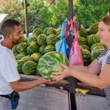 Kako da po peteljci izaberete najslađu lubenicu: Iskusni bostandžija iz Tavankuta objašnjava u čemu je tajna 7