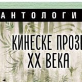 Sažeto književno stoleće 2