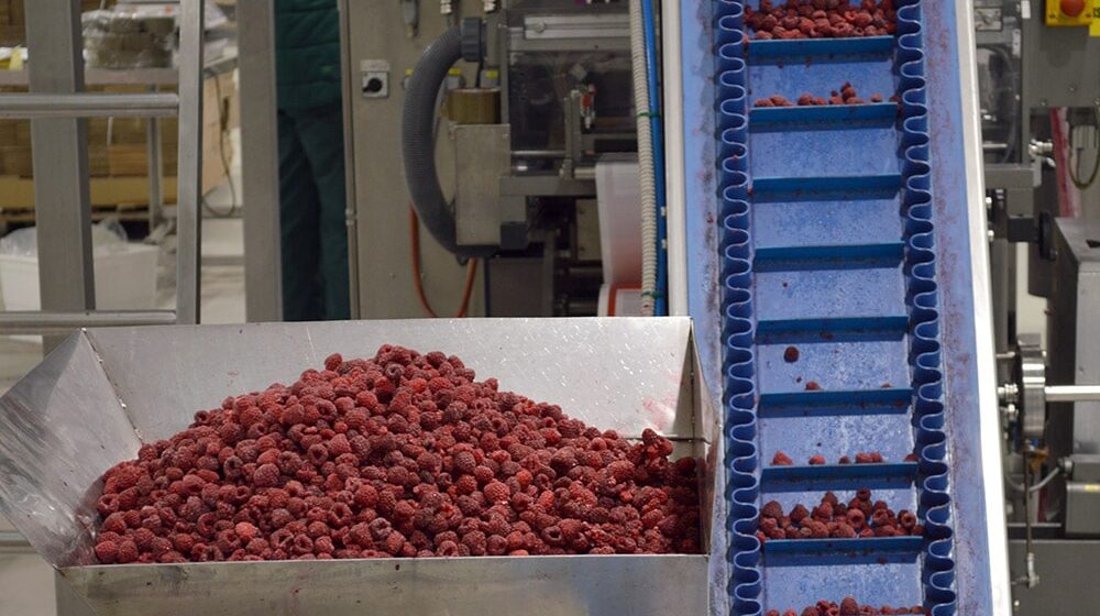 Proizvođači malina: Ako cena ne bude viša, slede radikalnije blokade hladnjača 1