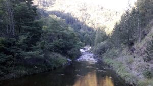 "Nigde nema takve zore, kao iznad Mokre Gore": Odmor na planini na sat vožnje od Užica 2