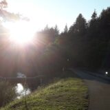 "Nigde nema takve zore, kao iznad Mokre Gore": Odmor na planini na sat vožnje od Užica 13