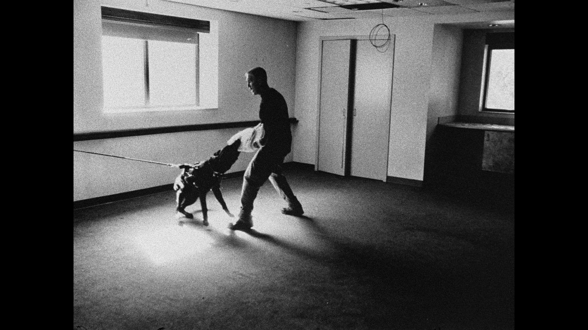 U petak počinje filmski festival “Otvoreni predeli” na Rudniku 2