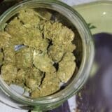 Niš: Krivična prijava protiv mladića zbog sumnje da je prodavao drogu 5