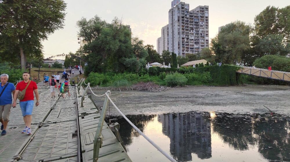Preko fekalija i pontonskog mosta na "Lido": Kakav je kvalitet vode u kojoj se građani kupaju na Dunavu? 1