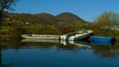 Na sat vožnje od Majdanpeka puca pogled na Dunav na čijoj obali građani letuju kao na moru 4