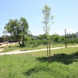 Kragujevac: Sektor za vanredne situacije apeluje na građane da ne spaljuju travu i nisko rastinje 10