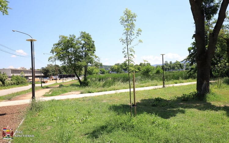 Kragujevac: Sektor za vanredne situacije apeluje na građane da ne spaljuju travu i nisko rastinje 1