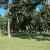 Zaprašivanje komaraca u sredu u Kragujevcu 9