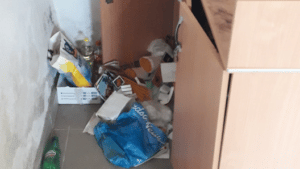 Opljačkana Crkva svetog Đorđa u Davidovcu kod Vranja 3 Opljačkana Crkva svetog Đorđa u Davidovcu kod Vranja 3