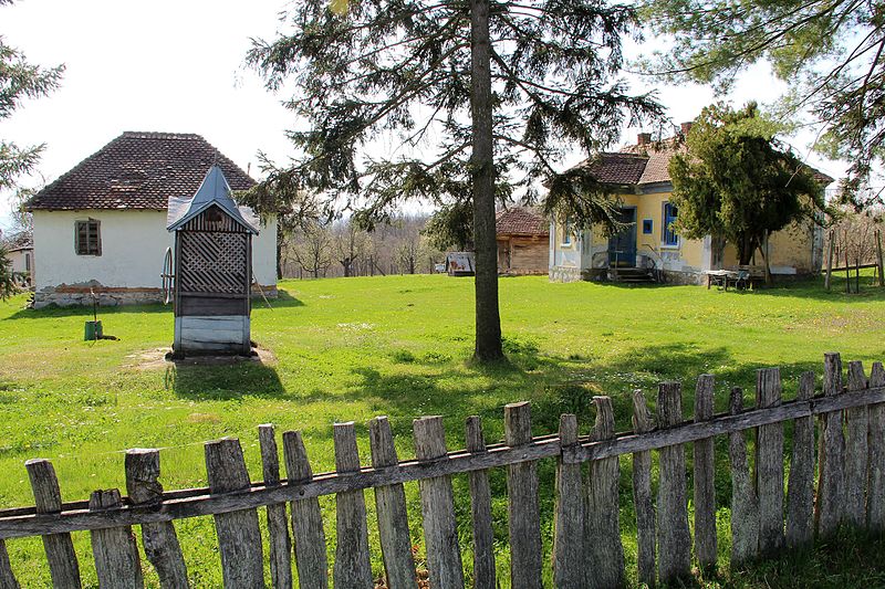 U Mačvanskom selu Sovljak počinje tradicionalna slikarska kolonija 1