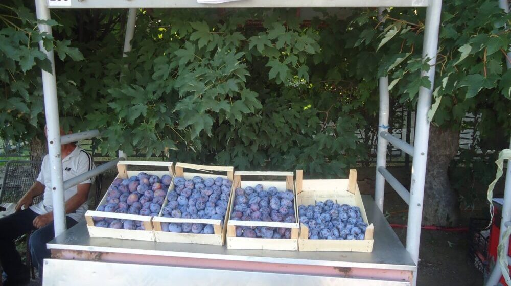 „Šumadijski dani šljive” u Stragarima kod Kragujevca 1