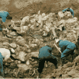 Srebrenički genocid kroz svedočenja Srba: “Iz gomile ljudskih tela pojavilo se ljudsko biće. Bio je to dečak od pet-šest godina” 10