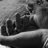 Uhapšena kriminalna grupa iz Šapca i Loznice osumnjičena za trgovinu ljudima 5