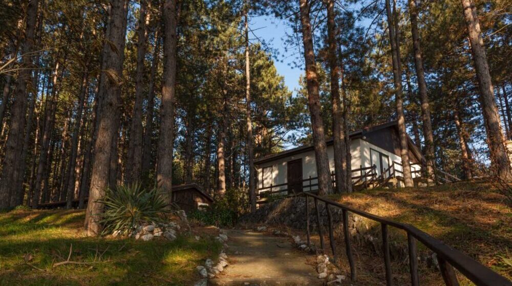 Na sat vožnje od Majdanpeka puca pogled na Dunav na čijoj obali građani letuju kao na moru 1