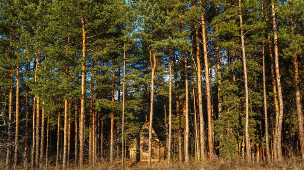Proglašeno zaštićeno područje Specijalni rezervat prirode "Bosutske šume" 1