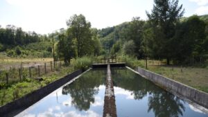 Majdanpek: Komunalna preduzeća traže povećanje cena usluga 2 Majdanpek: Komunalna preduzeća traže povećanje cena usluga 2