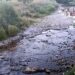 Zlotska reka kod Bora postala potok, nadležni ćute 10