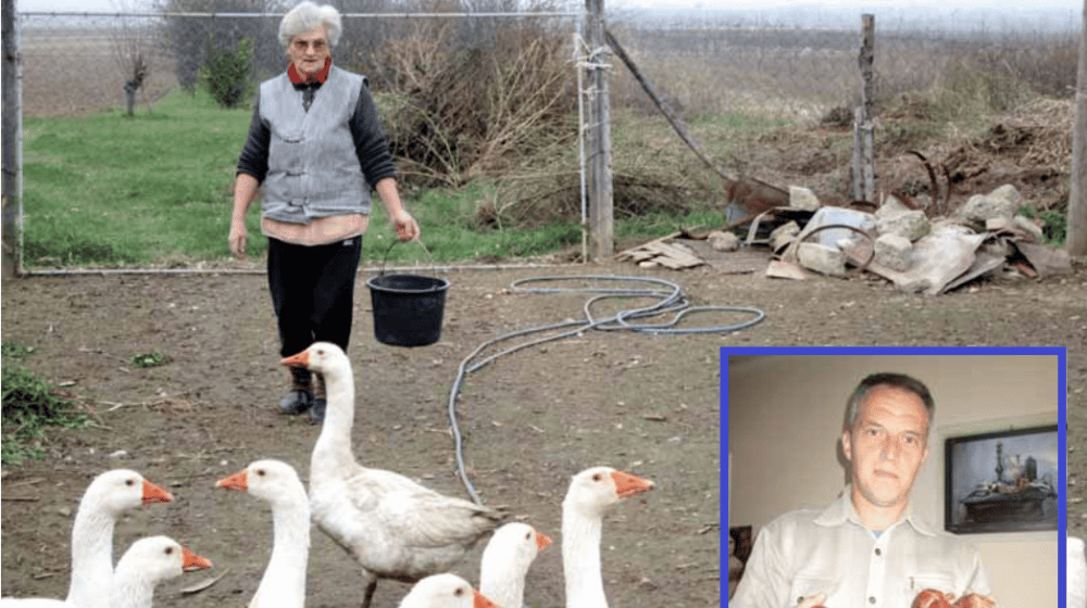 Za dan proda sve što proizvede: Mitrovčanin se vratio u selo i napravio farmu koza i gusaka 1