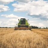 Globalna kriza gladi: Ko je zapravo odgovoran za nestašicu na tržištu žitarica? 17