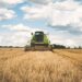 Globalna kriza gladi: Ko je zapravo odgovoran za nestašicu na tržištu žitarica? 11